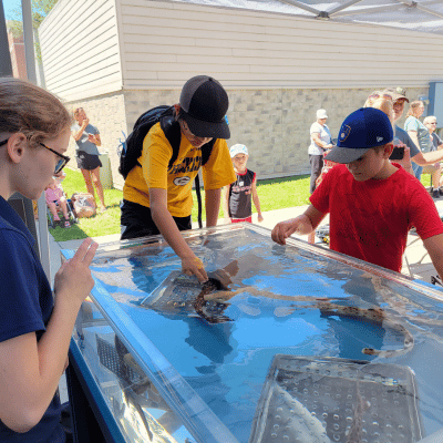 Touch Tank with National Mississippi River Museum